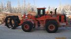 Фронтальный лесопогрузчик DOOSAN DL 420A (3 SP)